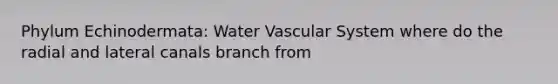 Phylum Echinodermata: Water Vascular System where do the radial and lateral canals branch from