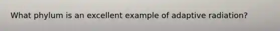 What phylum is an excellent example of adaptive radiation?
