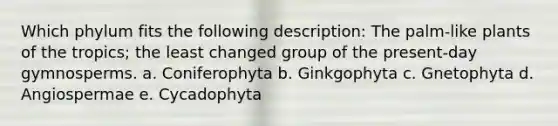 Which phylum fits the following description: The palm-like plants of the tropics; the least changed group of the present-day gymnosperms. a. Coniferophyta b. Ginkgophyta c. Gnetophyta d. Angiospermae e. Cycadophyta