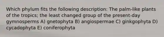 Which phylum fits the following description: The palm-like plants of the tropics; the least changed group of the present-day gymnosperms A) gnetophyta B) angiospermae C) ginkgophyta D) cycadophyta E) coniferophyta