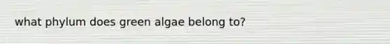 what phylum does green algae belong to?