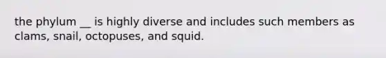 the phylum __ is highly diverse and includes such members as clams, snail, octopuses, and squid.