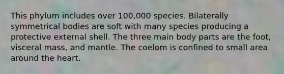 This phylum includes over 100,000 species. Bilaterally symmetrical bodies are soft with many species producing a protective external shell. The three main body parts are the foot, visceral mass, and mantle. The coelom is confined to small area around <a href='https://www.questionai.com/knowledge/kya8ocqc6o-the-heart' class='anchor-knowledge'>the heart</a>.