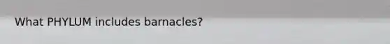 What PHYLUM includes barnacles?