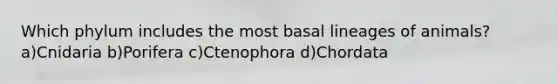 Which phylum includes the most basal lineages of animals? a)Cnidaria b)Porifera c)Ctenophora d)Chordata