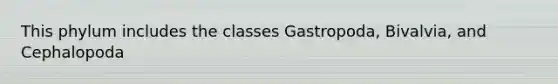 This phylum includes the classes Gastropoda, Bivalvia, and Cephalopoda