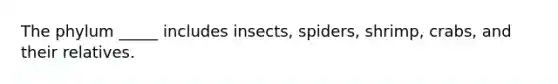 The phylum _____ includes insects, spiders, shrimp, crabs, and their relatives.