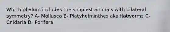 Which phylum includes the simplest animals with bilateral symmetry? A- Mollusca B- Platyhelminthes aka flatworms C- Cnidaria D- Porifera