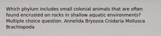 Which phylum includes small colonial animals that are often found encrusted on rocks in shallow aquatic environments? Multiple choice question. Annelida Bryozoa Cnidaria Mollusca Brachiopoda