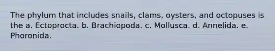 The phylum that includes snails, clams, oysters, and octopuses is the a. Ectoprocta. b. Brachiopoda. c. Mollusca. d. Annelida. e. Phoronida.