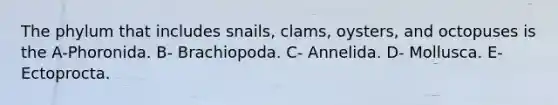 The phylum that includes snails, clams, oysters, and octopuses is the A-Phoronida. B- Brachiopoda. C- Annelida. D- Mollusca. E- Ectoprocta.