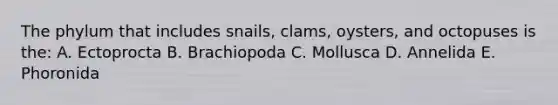 The phylum that includes snails, clams, oysters, and octopuses is the: A. Ectoprocta B. Brachiopoda C. Mollusca D. Annelida E. Phoronida