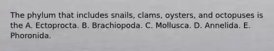 The phylum that includes snails, clams, oysters, and octopuses is the A. Ectoprocta. B. Brachiopoda. C. Mollusca. D. Annelida. E. Phoronida.