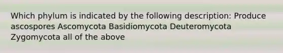 Which phylum is indicated by the following description: Produce ascospores Ascomycota Basidiomycota Deuteromycota Zygomycota all of the above