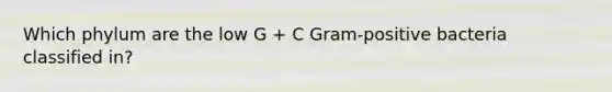 Which phylum are the low G + C Gram-positive bacteria classified in?