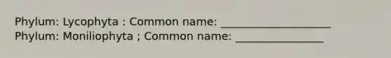 Phylum: Lycophyta : Common name: ____________________ Phylum: Moniliophyta ; Common name: ________________