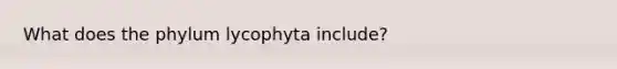 What does the phylum lycophyta include?