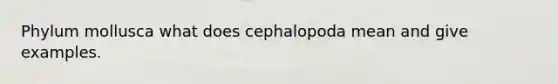 Phylum mollusca what does cephalopoda mean and give examples.