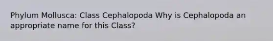 Phylum Mollusca: Class Cephalopoda Why is Cephalopoda an appropriate name for this Class?