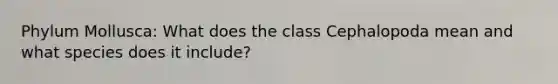 Phylum Mollusca: What does the class Cephalopoda mean and what species does it include?