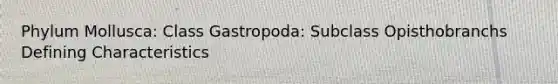 Phylum Mollusca: Class Gastropoda: Subclass Opisthobranchs Defining Characteristics