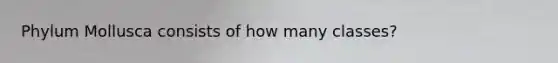 Phylum Mollusca consists of how many classes?