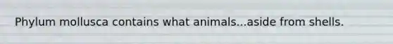Phylum mollusca contains what animals...aside from shells.