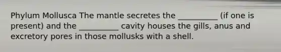 Phylum Mollusca The mantle secretes the __________ (if one is present) and the __________ cavity houses the gills, anus and excretory pores in those mollusks with a shell.