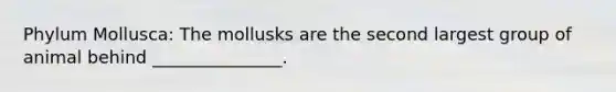 Phylum Mollusca: The mollusks are the second largest group of animal behind _______________.