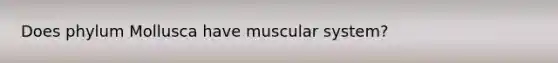 Does phylum Mollusca have muscular system?