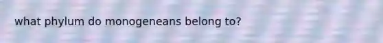 what phylum do monogeneans belong to?