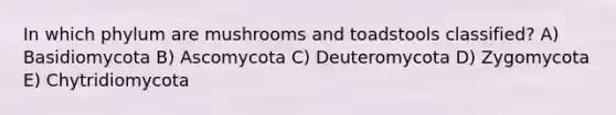 In which phylum are mushrooms and toadstools classified? A) Basidiomycota B) Ascomycota C) Deuteromycota D) Zygomycota E) Chytridiomycota