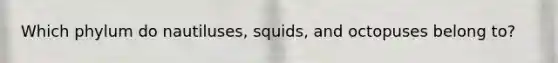 Which phylum do nautiluses, squids, and octopuses belong to?