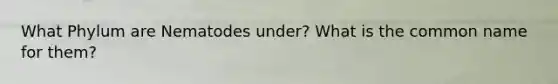 What Phylum are Nematodes under? What is the common name for them?