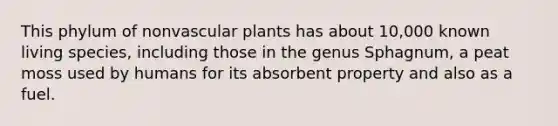 This phylum of nonvascular plants has about 10,000 known living species, including those in the genus Sphagnum, a peat moss used by humans for its absorbent property and also as a fuel.