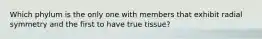 Which phylum is the only one with members that exhibit radial symmetry and the first to have true tissue?