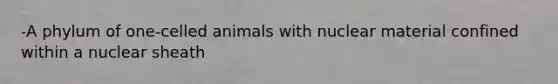 -A phylum of one-celled animals with nuclear material confined within a nuclear sheath