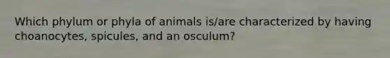 Which phylum or phyla of animals is/are characterized by having choanocytes, spicules, and an osculum?