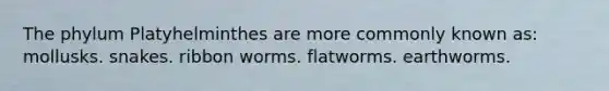 The phylum Platyhelminthes are more commonly known as: mollusks. snakes. ribbon worms. flatworms. earthworms.