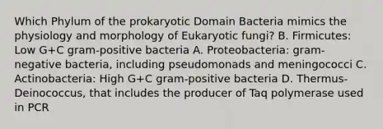 Which Phylum of the prokaryotic Domain Bacteria mimics the physiology and morphology of Eukaryotic fungi? B. Firmicutes: Low G+C gram-positive bacteria A. Proteobacteria: gram-negative bacteria, including pseudomonads and meningococci C. Actinobacteria: High G+C gram-positive bacteria D. Thermus-Deinococcus, that includes the producer of Taq polymerase used in PCR