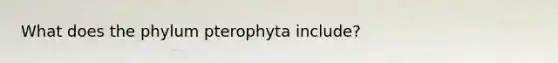 What does the phylum pterophyta include?