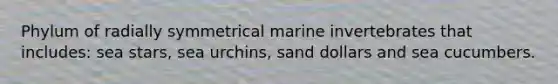 Phylum of radially symmetrical marine invertebrates that includes: sea stars, sea urchins, sand dollars and sea cucumbers.