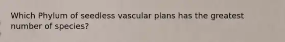 Which Phylum of seedless vascular plans has the greatest number of species?