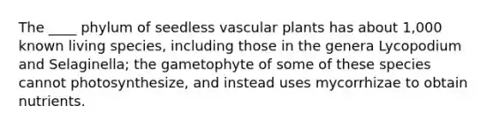 The ____ phylum of seedless <a href='https://www.questionai.com/knowledge/kbaUXKuBoK-vascular-plants' class='anchor-knowledge'>vascular plants</a> has about 1,000 known living species, including those in the genera Lycopodium and Selaginella; the gametophyte of some of these species cannot photosynthesize, and instead uses mycorrhizae to obtain nutrients.