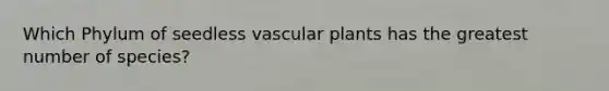 Which Phylum of seedless vascular plants has the greatest number of species?