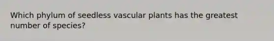 Which phylum of seedless vascular plants has the greatest number of species?