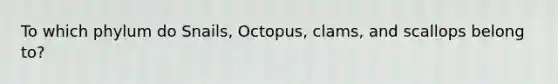 To which phylum do Snails, Octopus, clams, and scallops belong to?