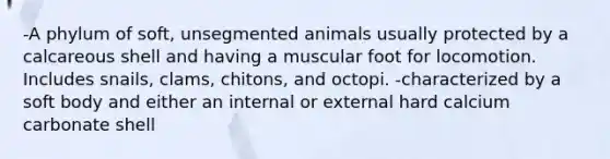 -A phylum of soft, unsegmented animals usually protected by a calcareous shell and having a muscular foot for locomotion. Includes snails, clams, chitons, and octopi. -characterized by a soft body and either an internal or external hard calcium carbonate shell