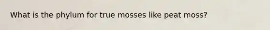 What is the phylum for true mosses like peat moss?