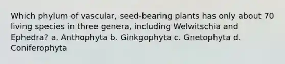 Which phylum of vascular, seed-bearing plants has only about 70 living species in three genera, including Welwitschia and Ephedra? a. Anthophyta b. Ginkgophyta c. Gnetophyta d. Coniferophyta